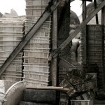 Oyster Baskets Penang